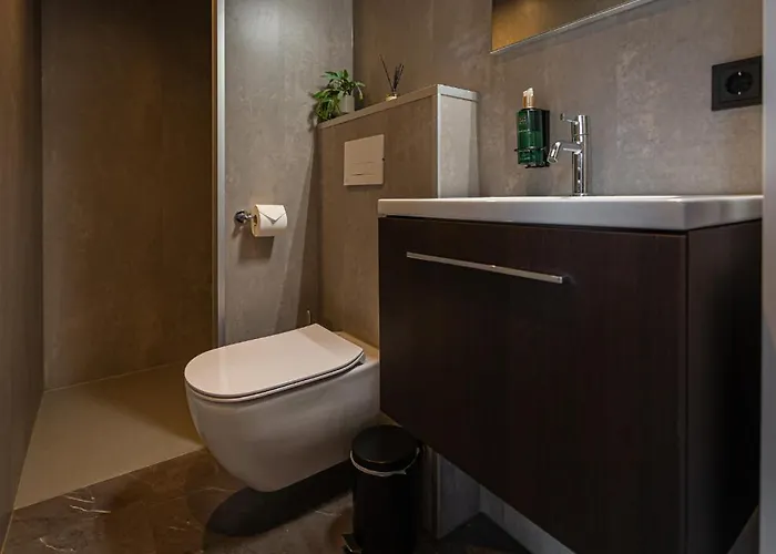 Tinyhouse Luxe Met Hottub Meerssen